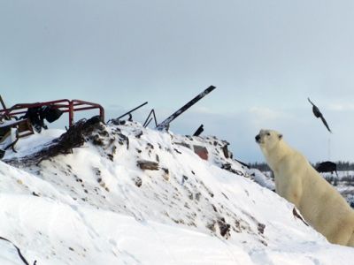 Мусор военных на севере. Фото: НГС.Новости